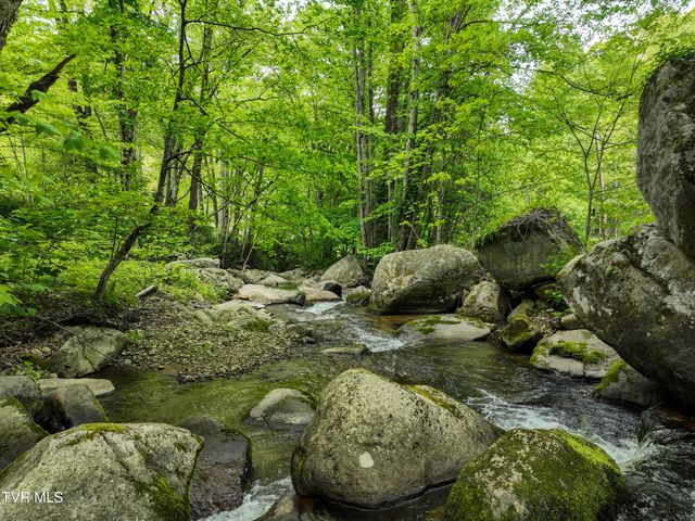 275 Tiger Creek Road, Roan Mountain, TN 37687