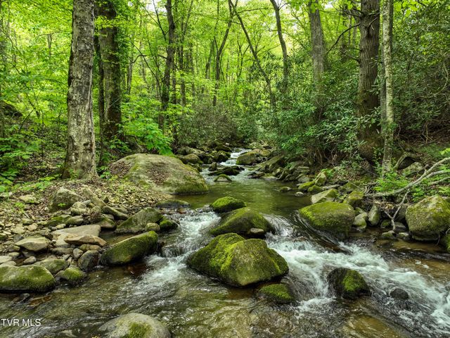 275 Tiger Creek Road, Roan Mountain, TN 37687