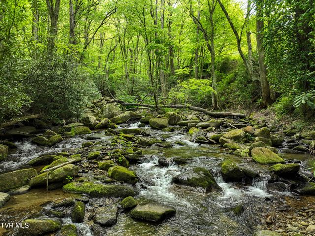 275 Tiger Creek Road, Roan Mountain, TN 37687