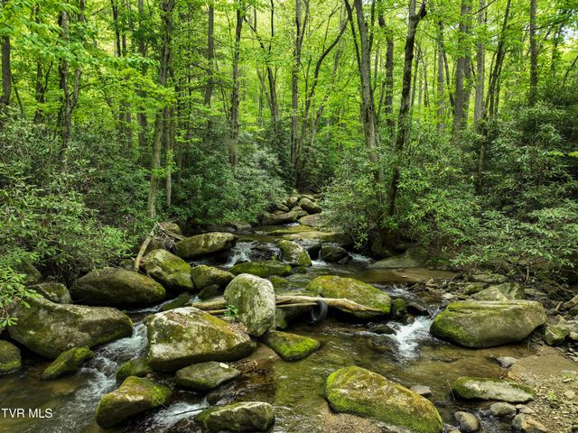 275 Tiger Creek Road, Roan Mountain, TN 37687
