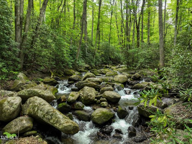 275 Tiger Creek Road, Roan Mountain, TN 37687