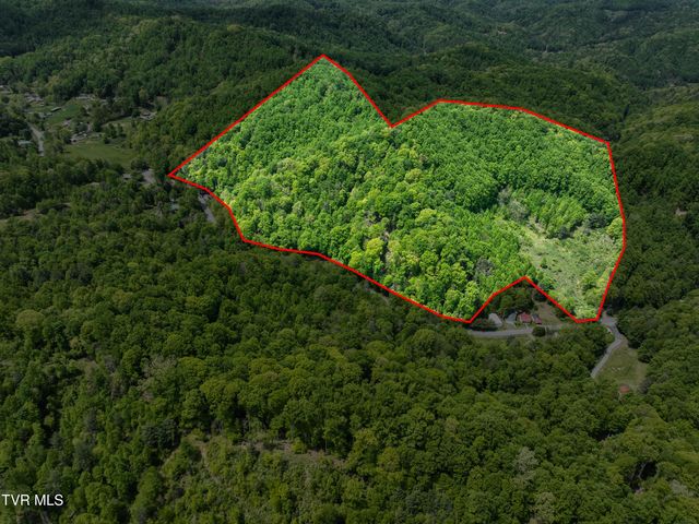 275 Tiger Creek Road, Roan Mountain, TN 37687
