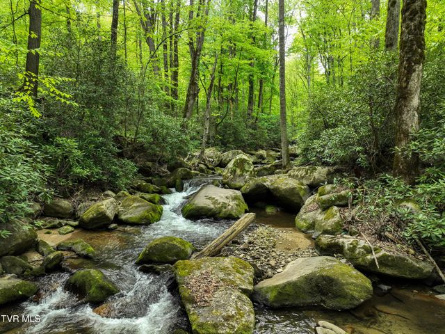 275 Tiger Creek Road, Roan Mountain, TN 37687