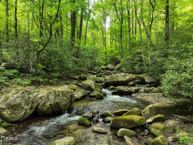 275 Tiger Creek Road, Roan Mountain, TN 37687