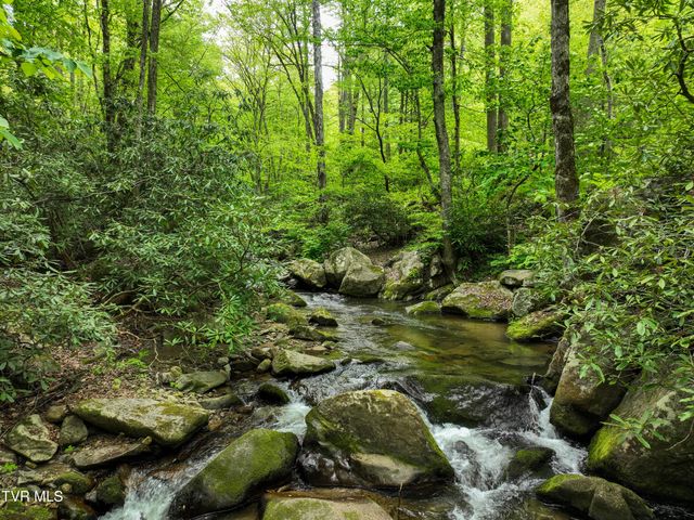 275 Tiger Creek Road, Roan Mountain, TN 37687