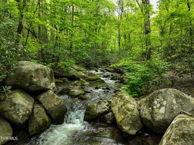 275 Tiger Creek Road, Roan Mountain, TN 37687