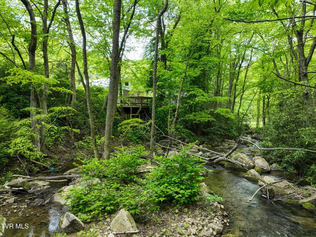 275 Tiger Creek Road, Roan Mountain, TN 37687