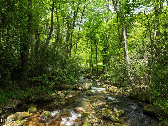 275 Tiger Creek Road, Roan Mountain, TN 37687