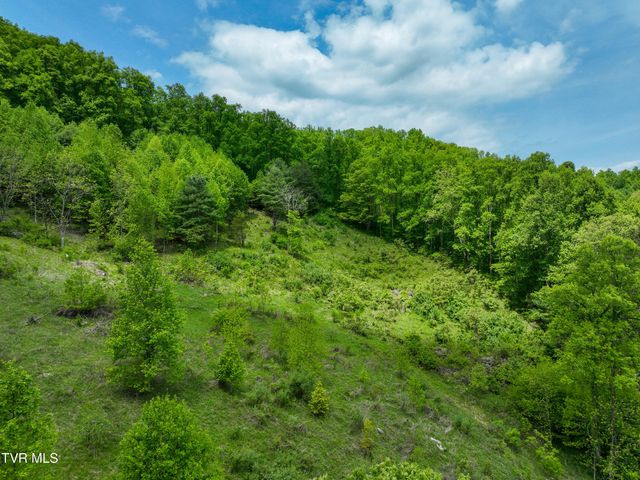 275 Tiger Creek Road, Roan Mountain, TN 37687