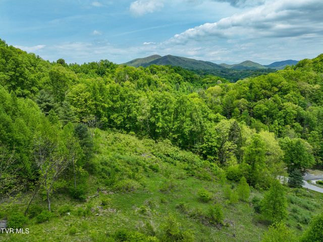 275 Tiger Creek Road, Roan Mountain, TN 37687
