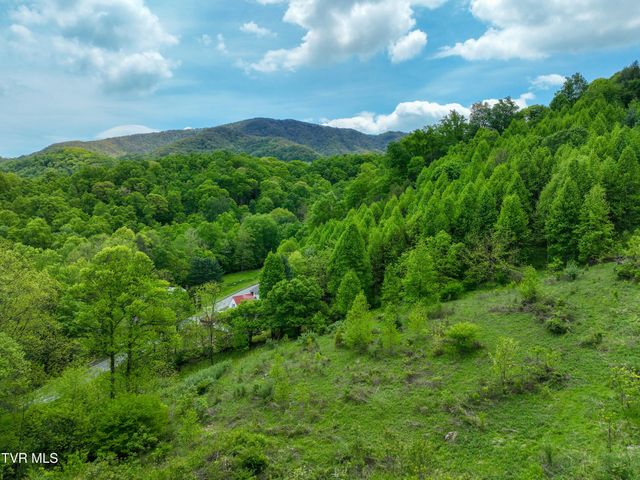 275 Tiger Creek Road, Roan Mountain, TN 37687