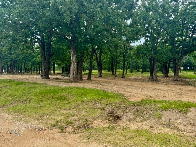TBD LOT 121-122 Richard Drive, Gordonville, TX 76245