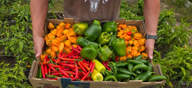 22996 Blessinger Rd, Star, ID 83669