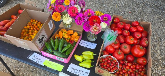 22996 Blessinger Rd, Star, ID 83669