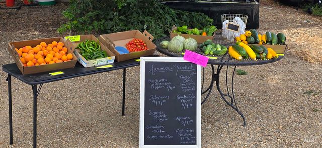 22996 Blessinger Rd, Star, ID 83669