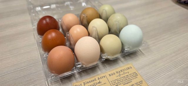 22996 Blessinger Rd, Star, ID 83669