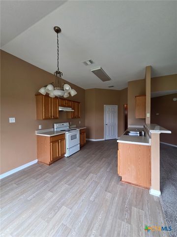 1120 Ascot Street, Georgetown, TX 78626