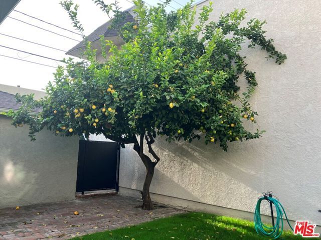 271 W Ash Avenue, Burbank, CA 91502