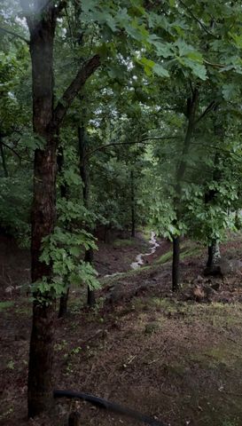 1311 Walnut Shell DR, Vinton, VA 24179