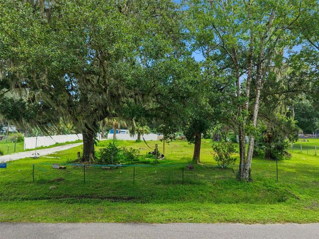 1003 SAINT CATHERINE AVENUE, Christmas, FL 32709