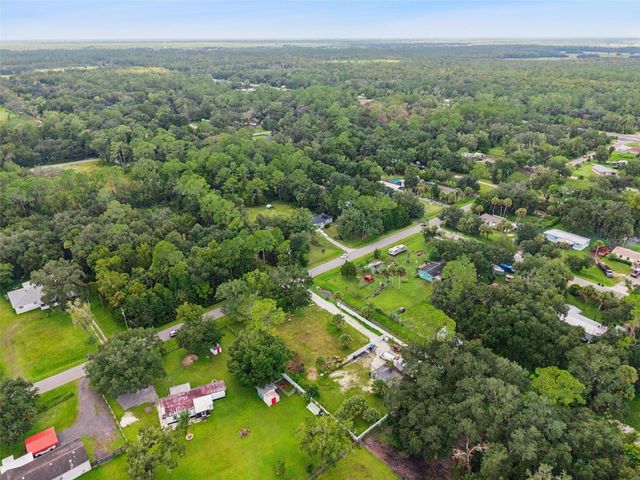 1003 SAINT CATHERINE AVENUE, Christmas, FL 32709