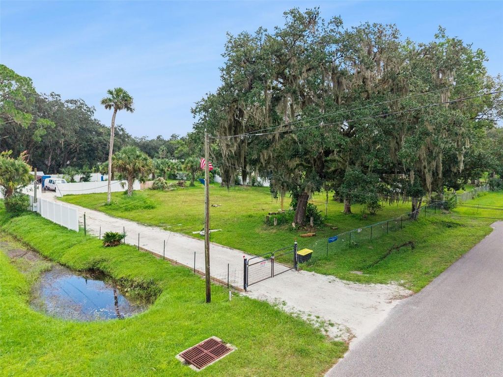 1003 SAINT CATHERINE AVENUE, Christmas, FL 32709