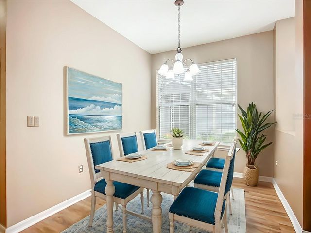 6811 BREEZY PALM DRIVE, Riverview, FL 33578