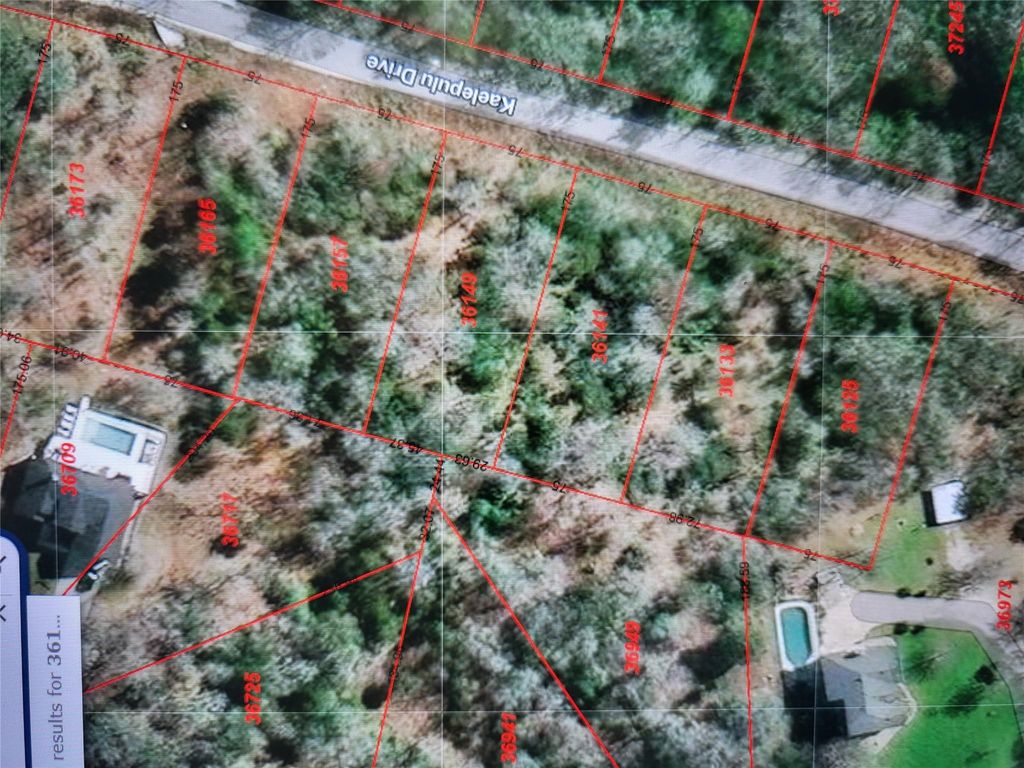 36141 & 36149 Kaelepulu DR, Bastrop, TX 78602