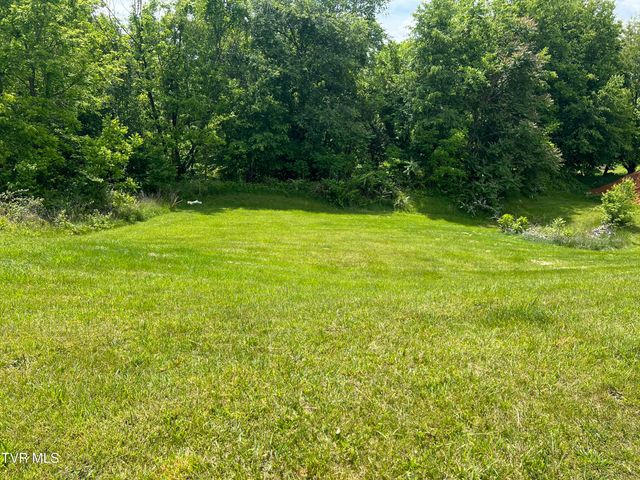 154 Laurel Canyon, Johnson City, TN 37615