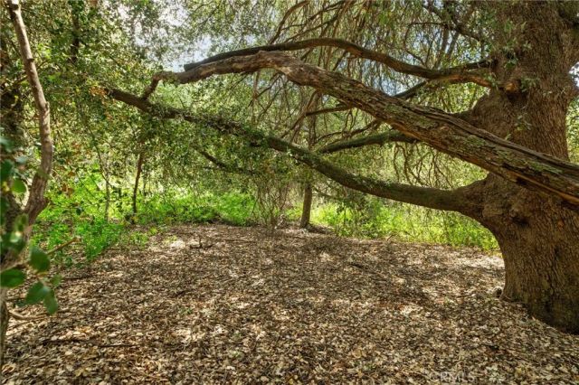 39804 Pine Bench, Yucaipa, CA 92399