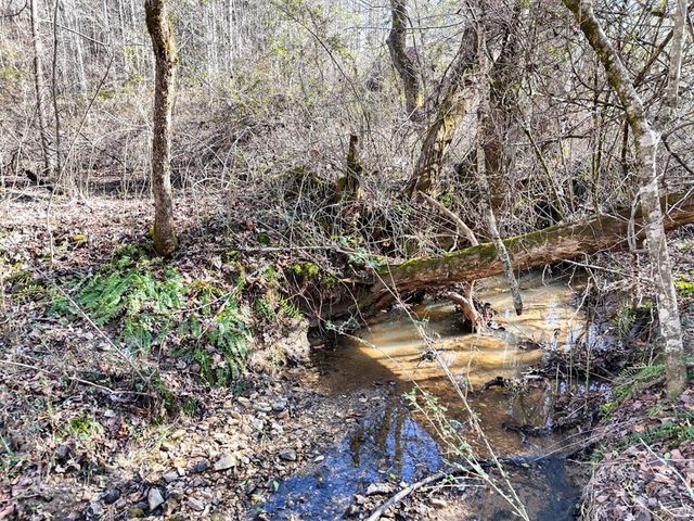 1852 Highway 325, Blairsville, GA 30512