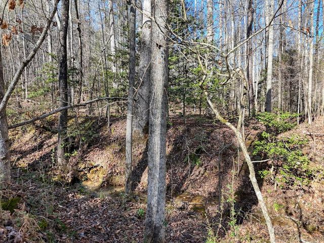 1852 Highway 325, Blairsville, GA 30512