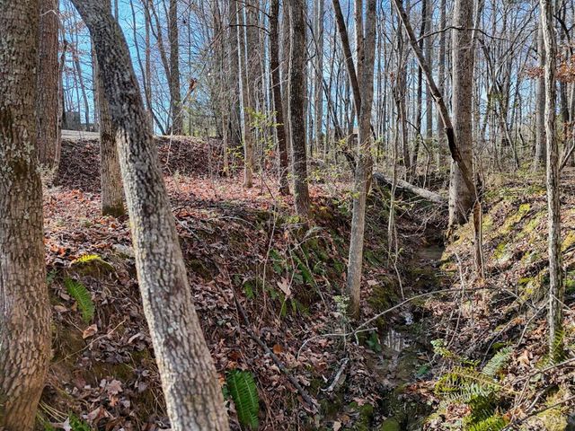 1852 Highway 325, Blairsville, GA 30512