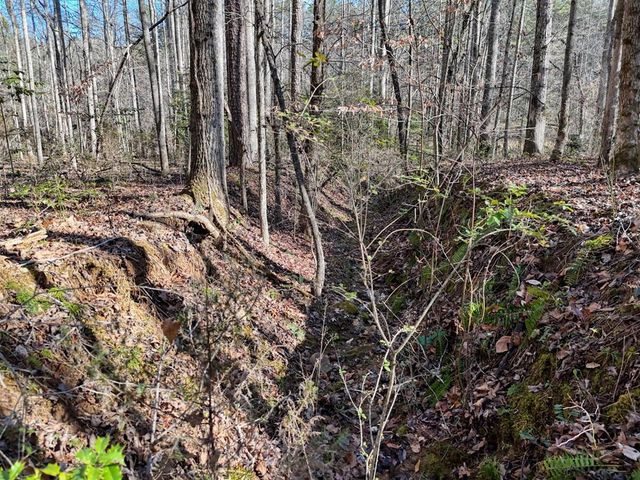 1852 Highway 325, Blairsville, GA 30512