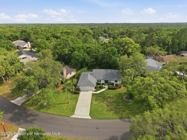 7 Salvia Court, Homosassa, FL 34446