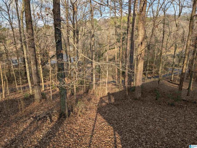 6822 CHARLES DRIVE, Trussville, AL 35173