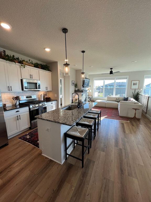 5539 welter Way, Chaska, MN 55318