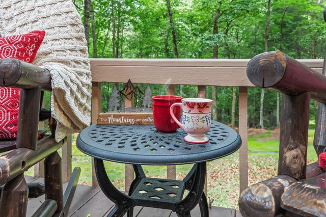 132 Silver Dollar Lane, Young Harris, GA 30582