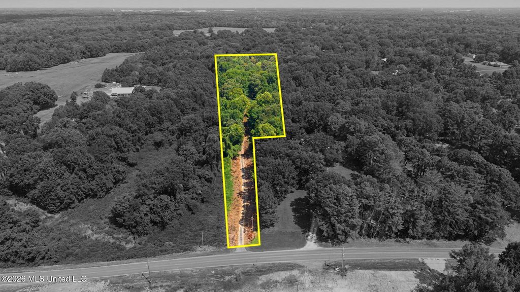 3206 Fogg Road, Nesbit, MS 38651 — photo 2