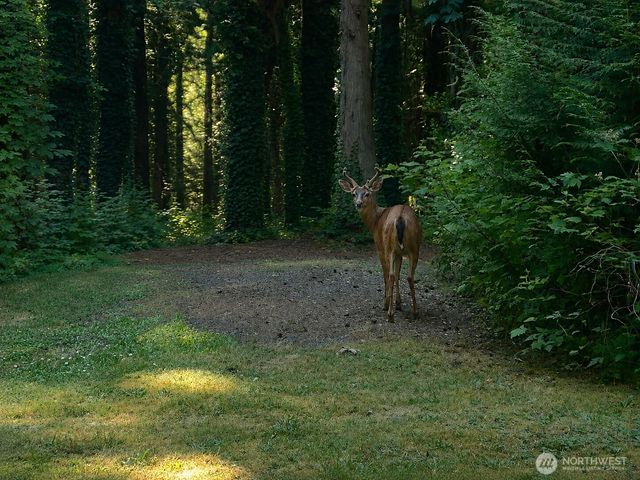 5618 NE Arrowhead Place, Poulsbo, WA 98370