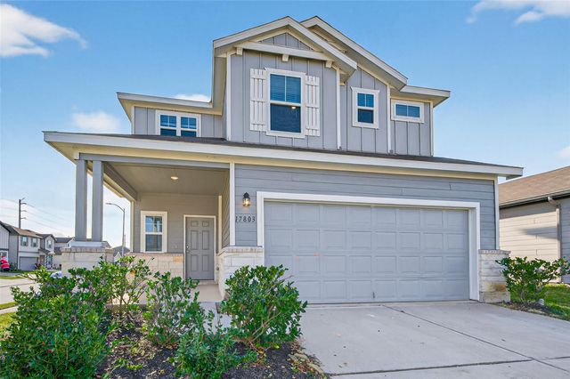 17803 Pumpkin Vine Drive, Hockley, TX 77447