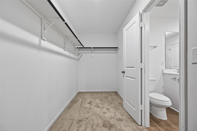 17803 Pumpkin Vine Drive, Hockley, TX 77447