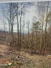 1921 Battle Top Road, Sevierville, TN 37876
