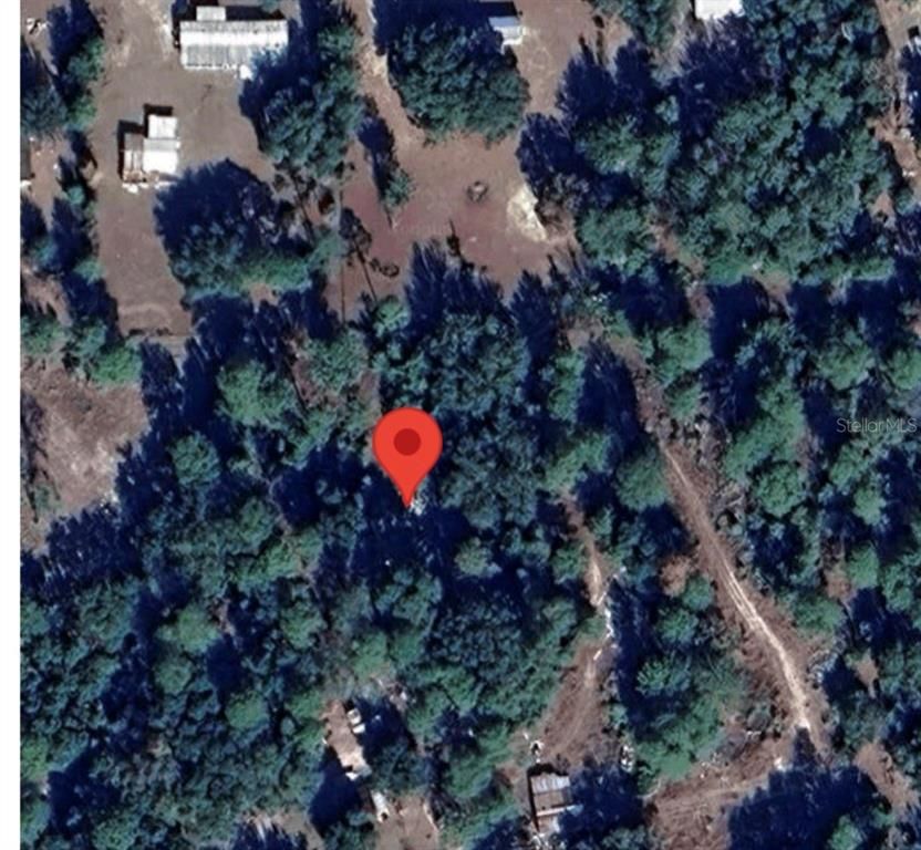 330 BEECHER SPRINGS RD, Welaka, FL 32193