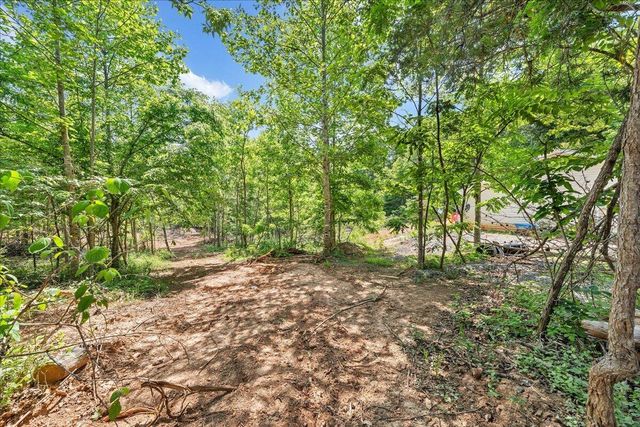 6427 Fork Mountain RD, Rocky Mount, VA 24151