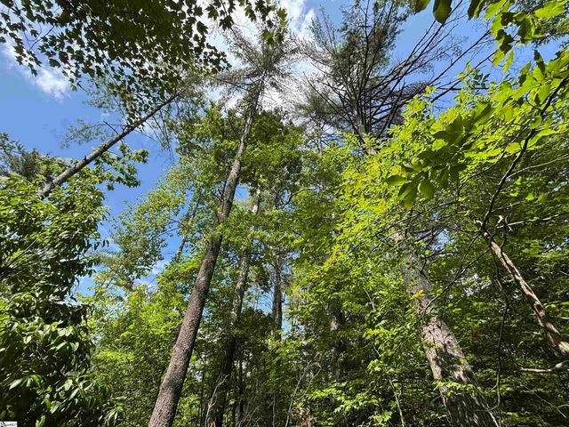 106 Dutchmans Pipe Trail, Sunset, SC 29685