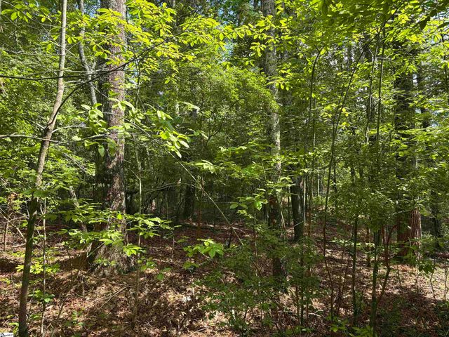 106 Dutchmans Pipe Trail, Sunset, SC 29685