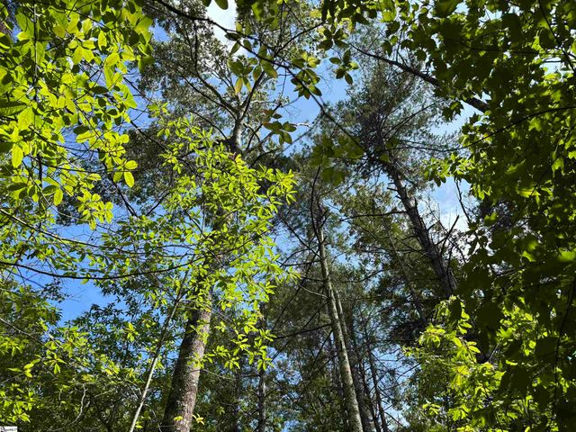 106 Dutchmans Pipe Trail, Sunset, SC 29685