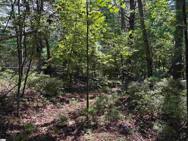 106 Dutchmans Pipe Trail, Sunset, SC 29685