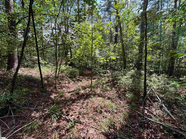 106 Dutchmans Pipe Trail, Sunset, SC 29685